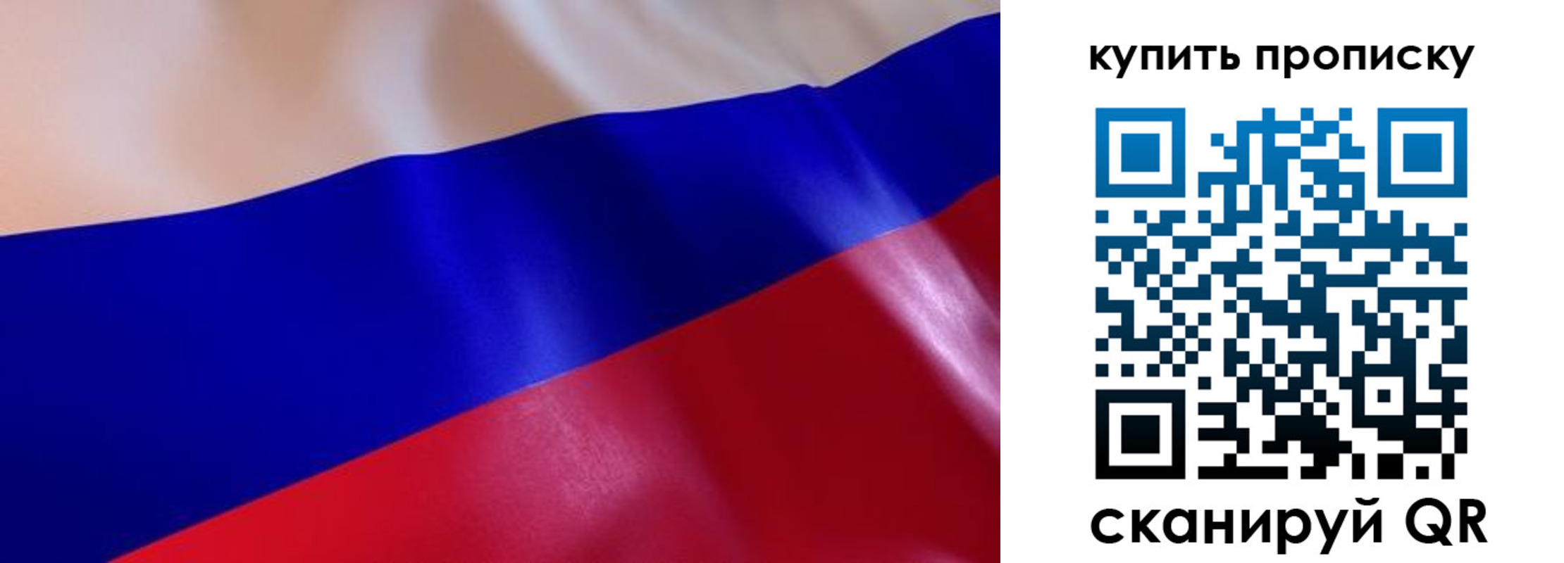прописка 2025 в Зеленоградске